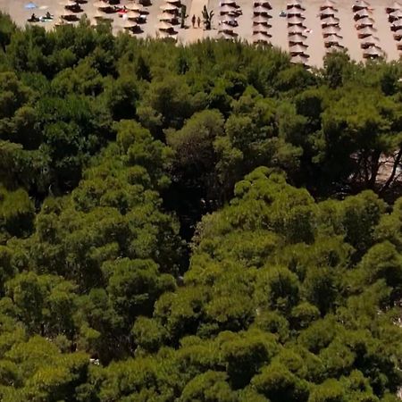 Relax Camping Vlore Hotel Ngoại thất bức ảnh
